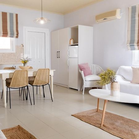 Blue House Apartments Vasilikí 외부 사진